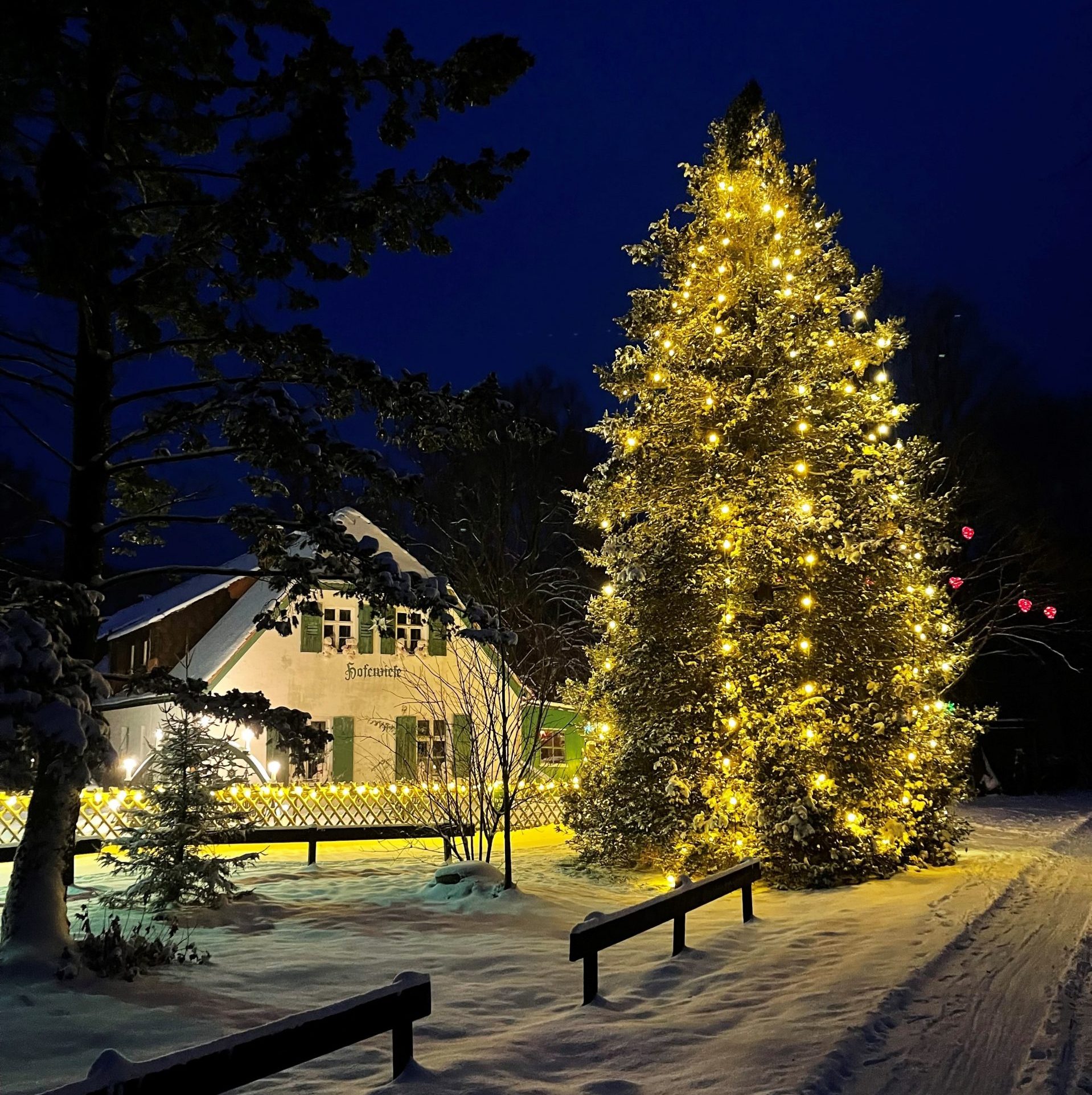 Heideweihnacht auf der Hofewiese