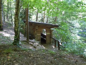Hofewiese Langebrück
