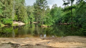 Hofewiese Langebrück