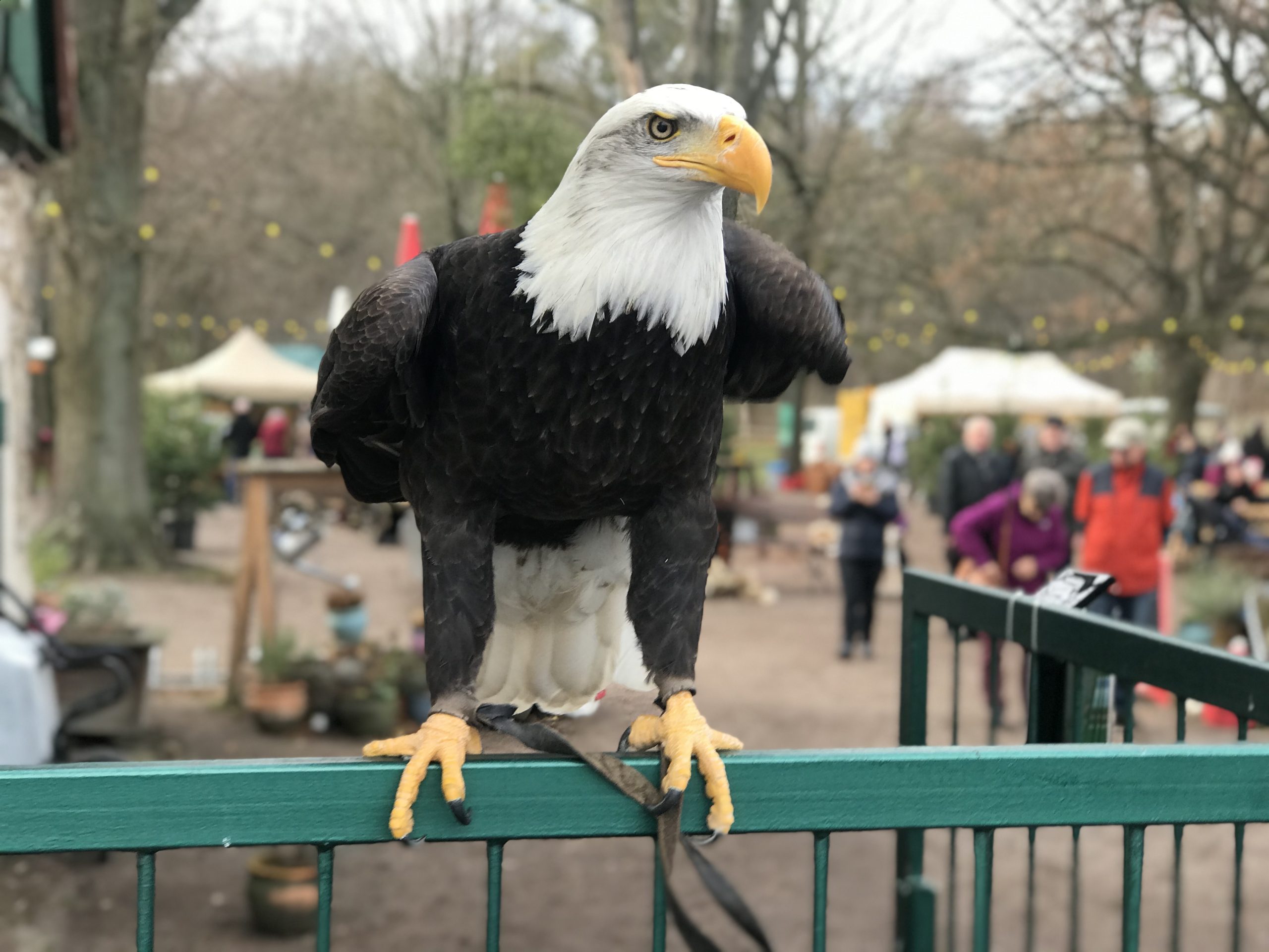 Hofewiese Langebrück