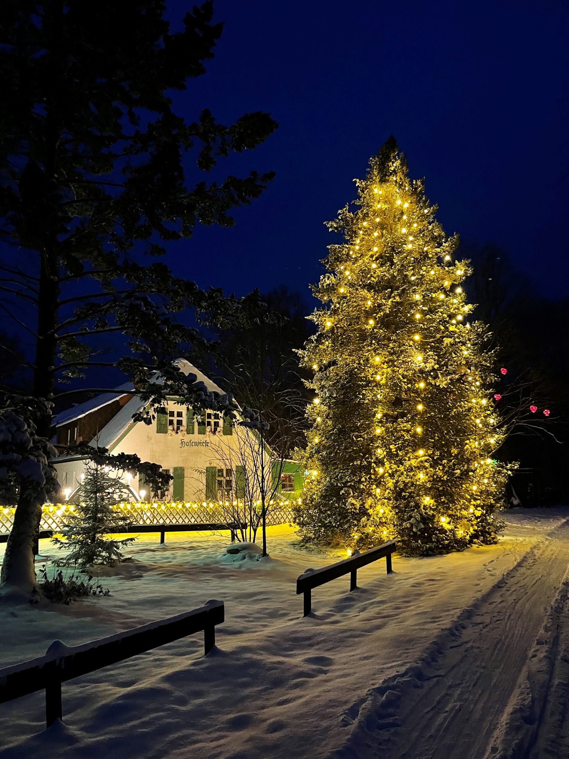 Hofewiese Langebrück