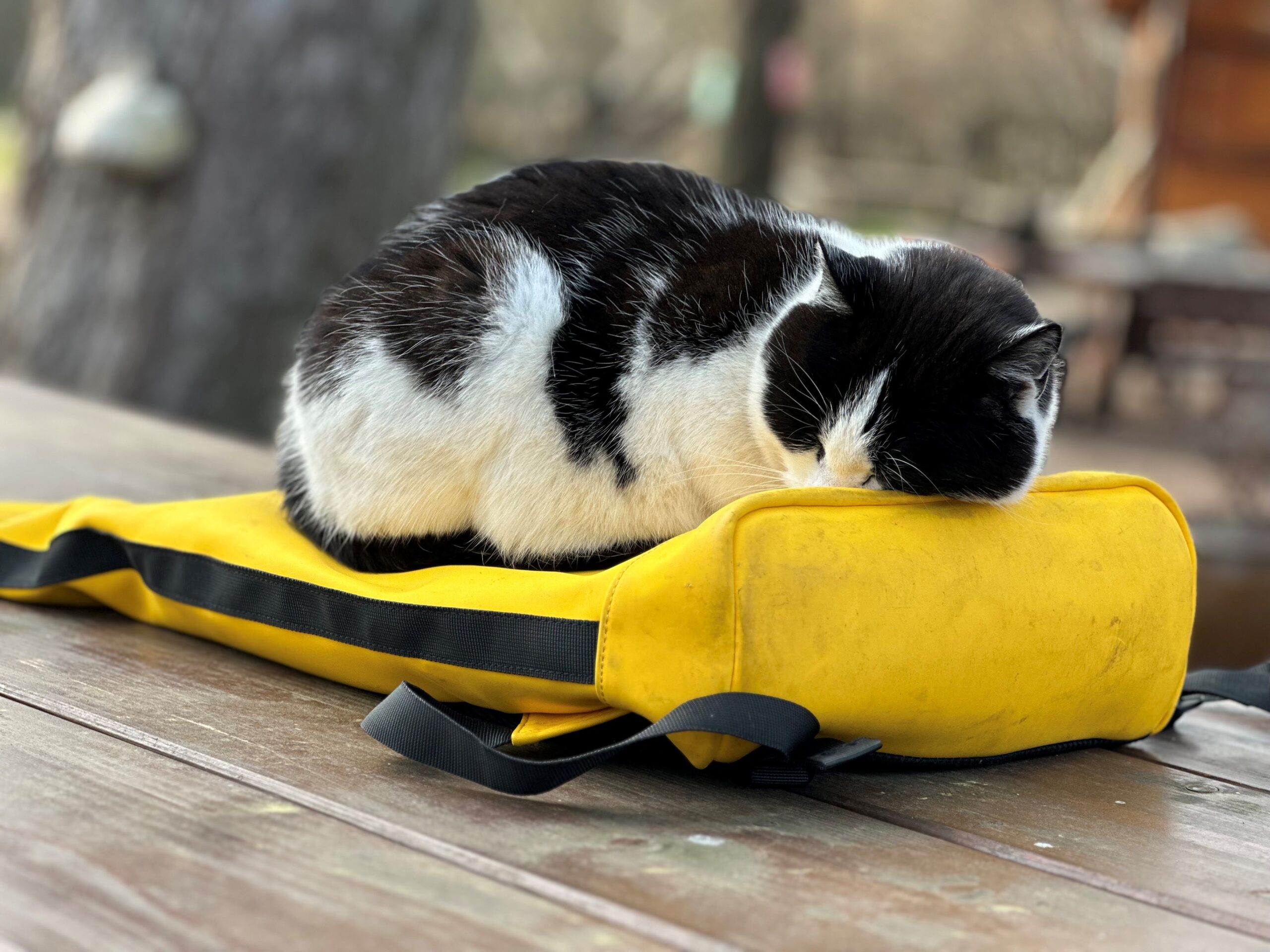 Hofewiese Langebrück