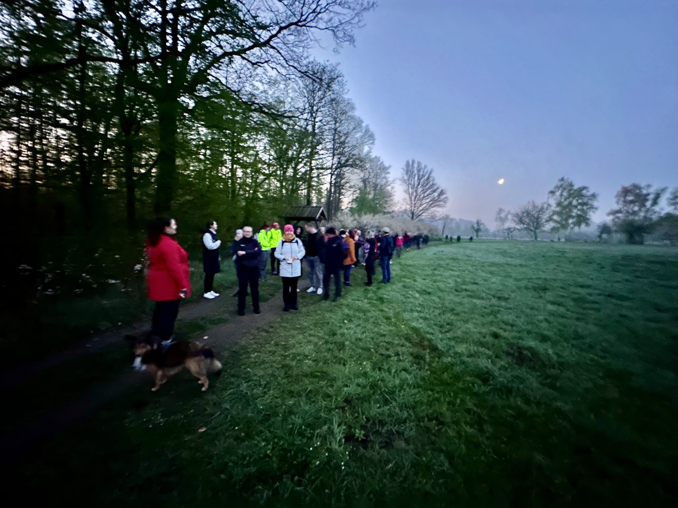 Hofewiese Langebrück