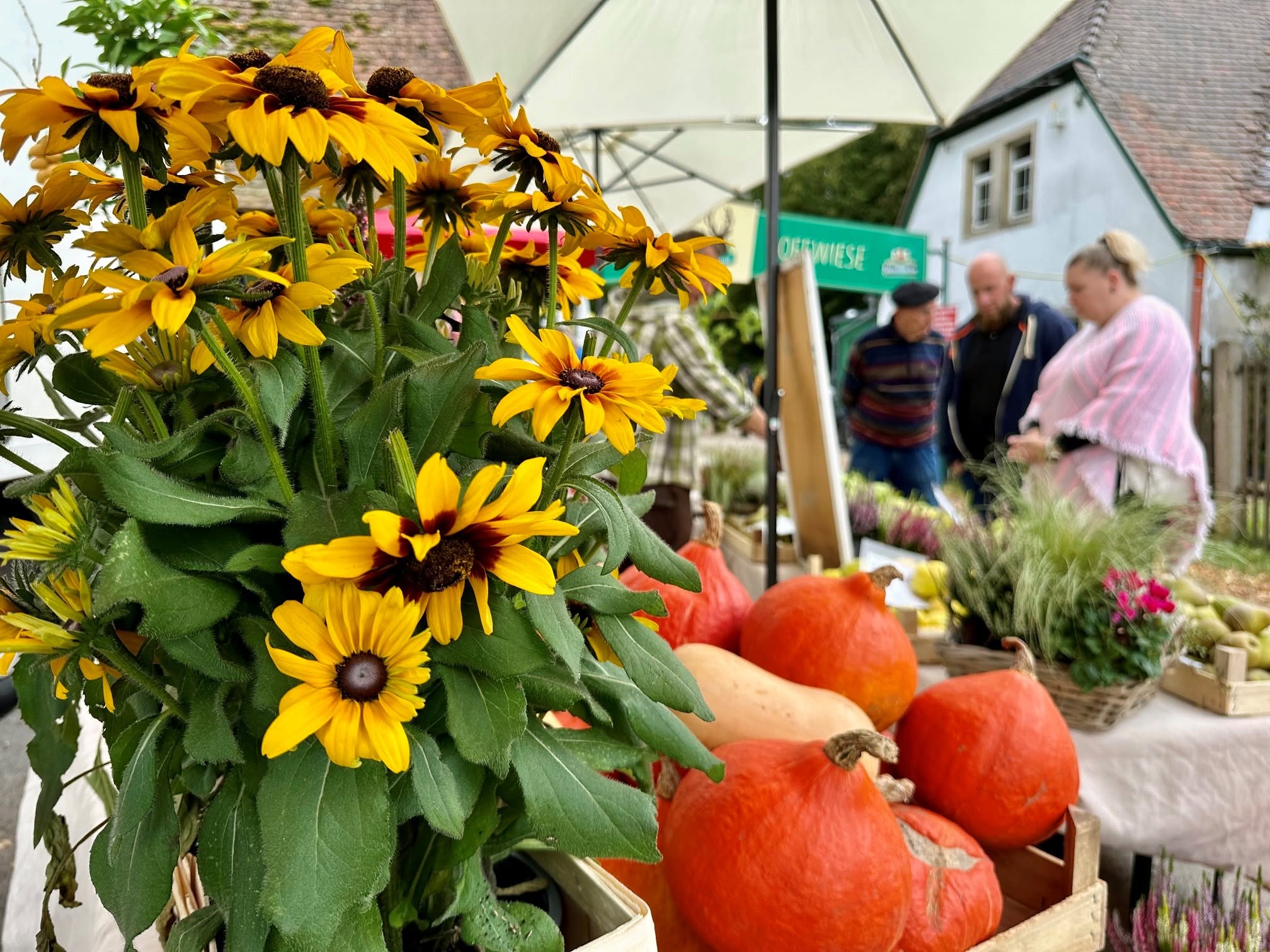 Waldtrödelmarkt auf der Hofewiese